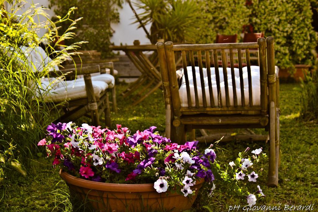 루보디풀리아 Albarosa B&B 외부 사진
